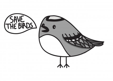 Protect our birds