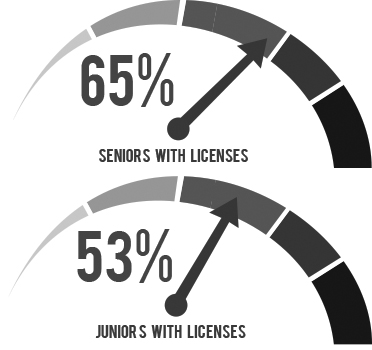 Senior statistics steer with driving trend