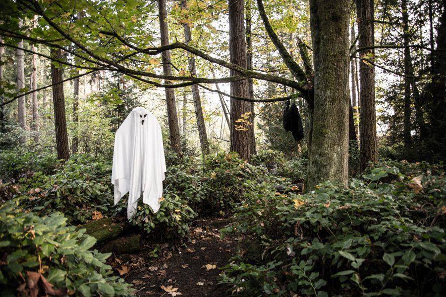 A ghost hangs in the forest at Haunted Trails.