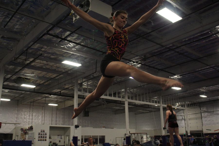 Gymnasts aspire to have a strong season