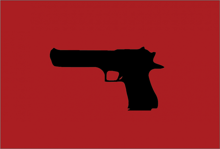 Point/Counterpoint: Gun laws