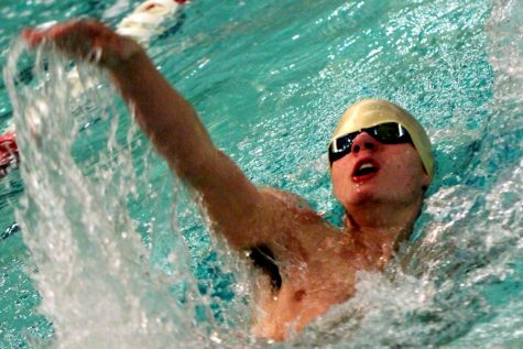 Swim team acquires divers for postseason