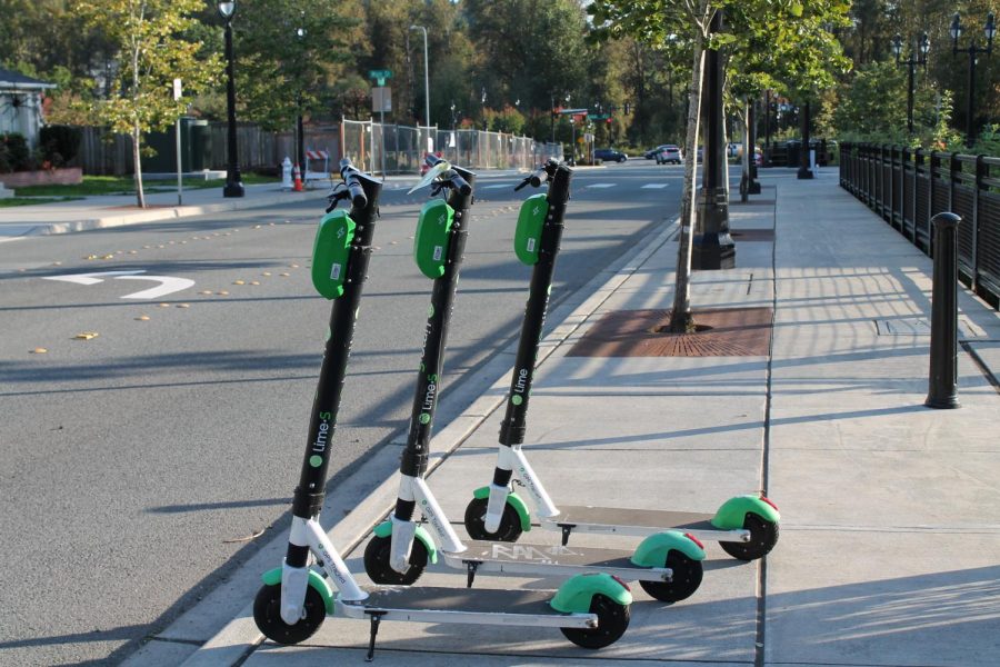 Lime Scooters lined up on the streets of Downtown Bothell, offering an accessible mode of transportation. Photo by Sofia Leotta