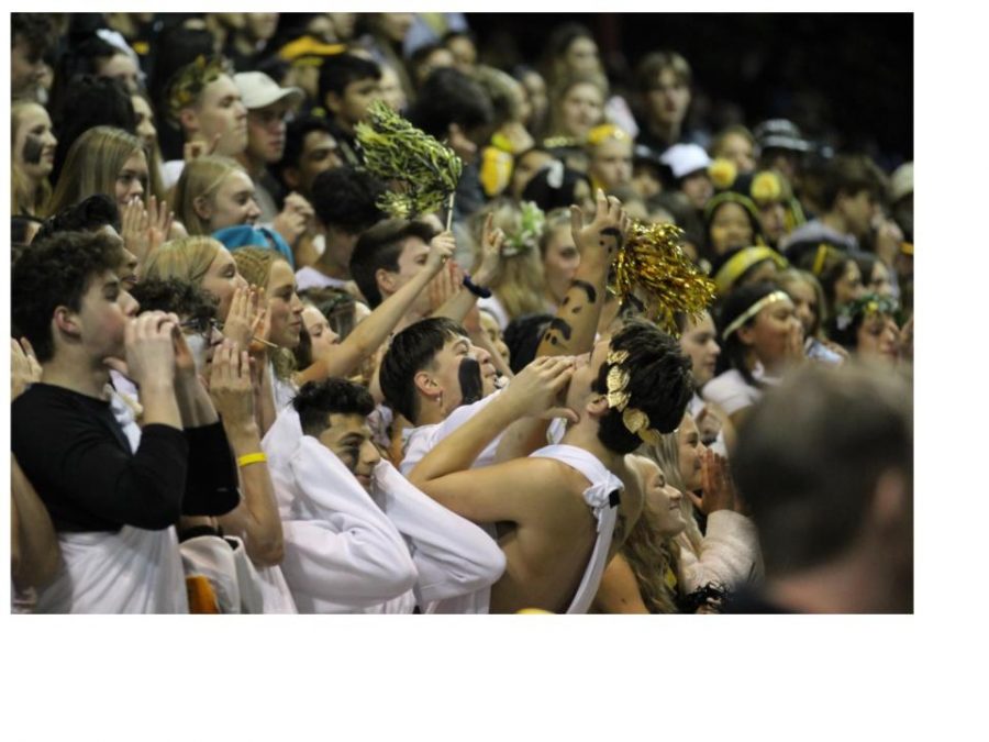 The ASH group in the front of the stands, cheering on the football team. Photo by Rory Knettles