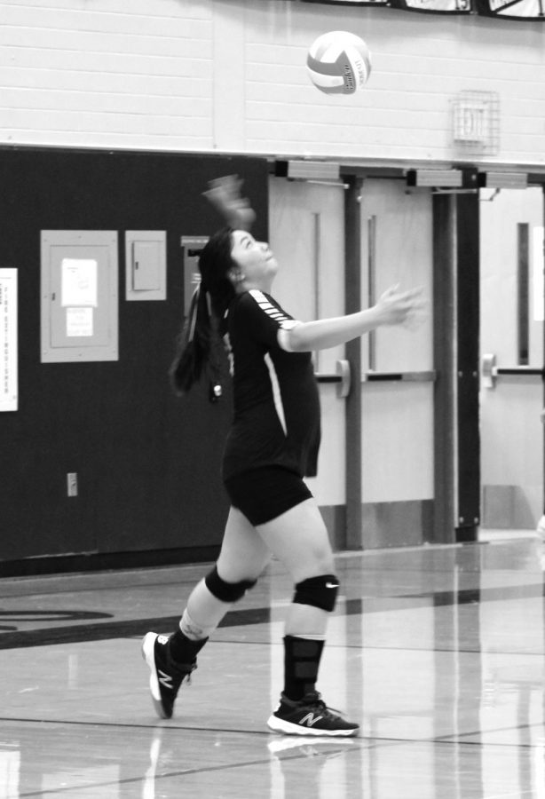 Volleyball sets up for a season of success