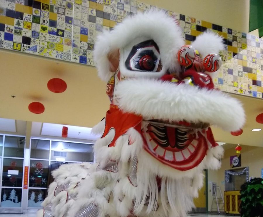 The Vovinam University of Washington Lion Dance Team performs at Inglemoor’s annual Chinese Party on Jan. 31 in
the cafeteria. Inglemoor’s team was unable to perform due to the snow days. Photo by Sofia Leotta