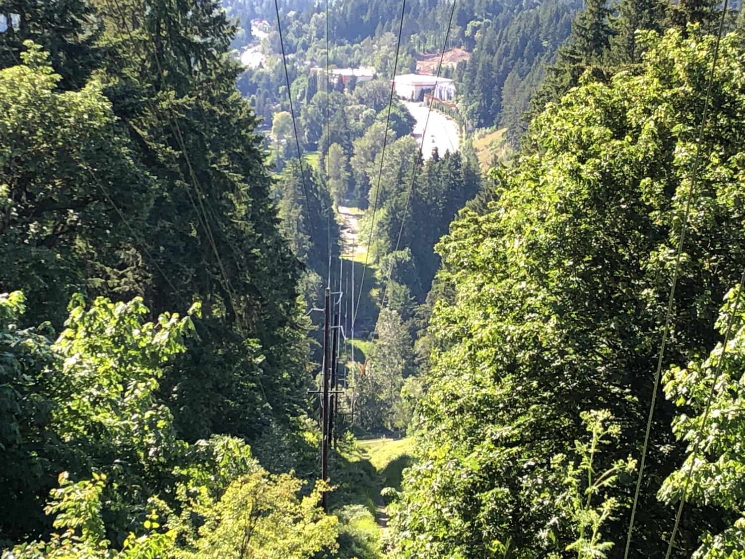 +View+down+on+the+Tolt+Pipeline+Trail.+Photo+by+Hope+Rasa.