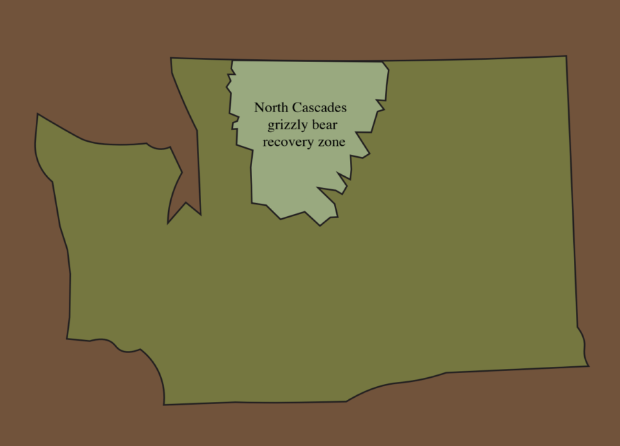 Map of grizzly bear recovery area in North Cascades. 