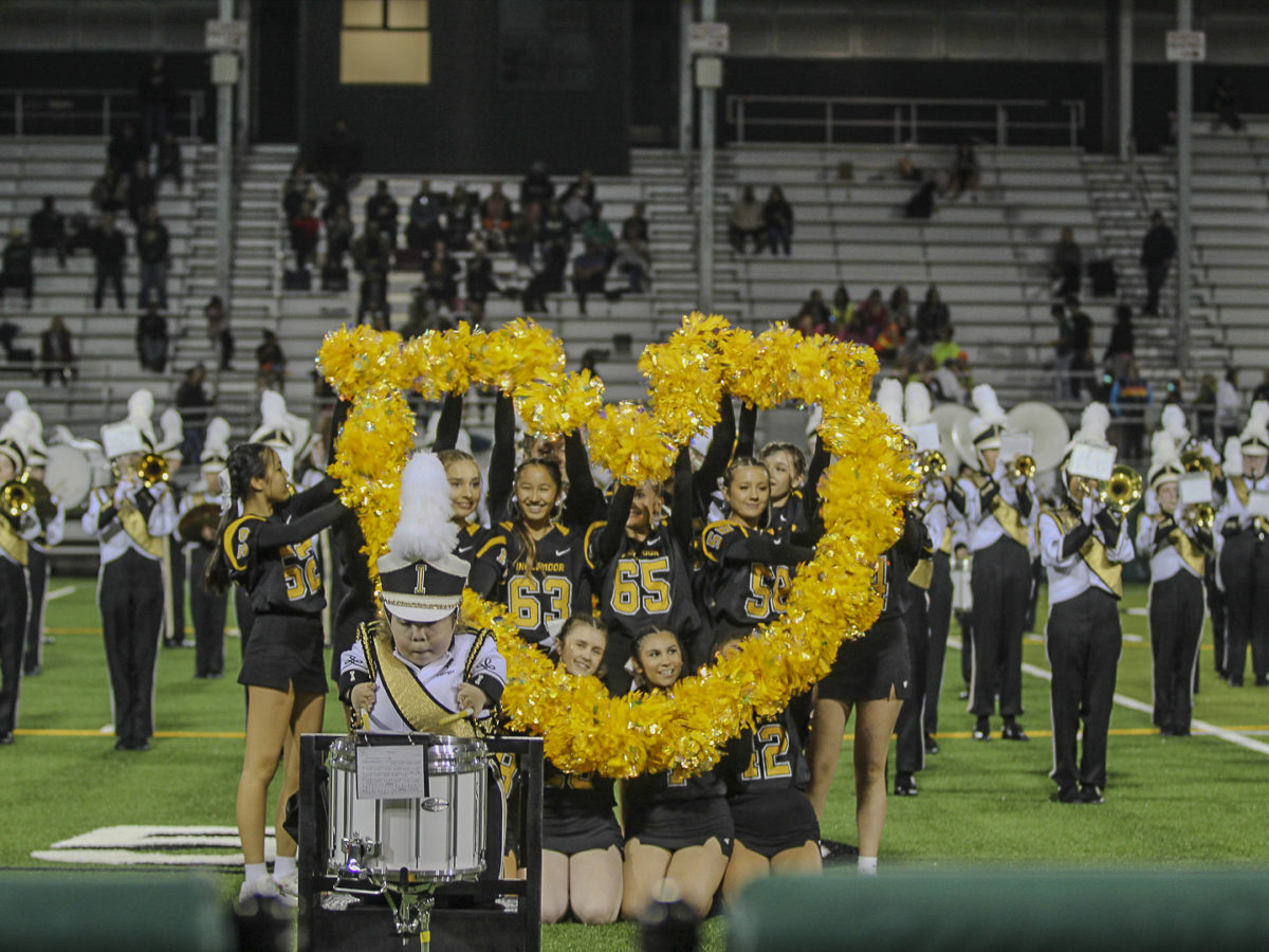 Cheerleaders ruffle their pom-poms, drumming up Viking spirit at the halftime show at the Homecoming game.