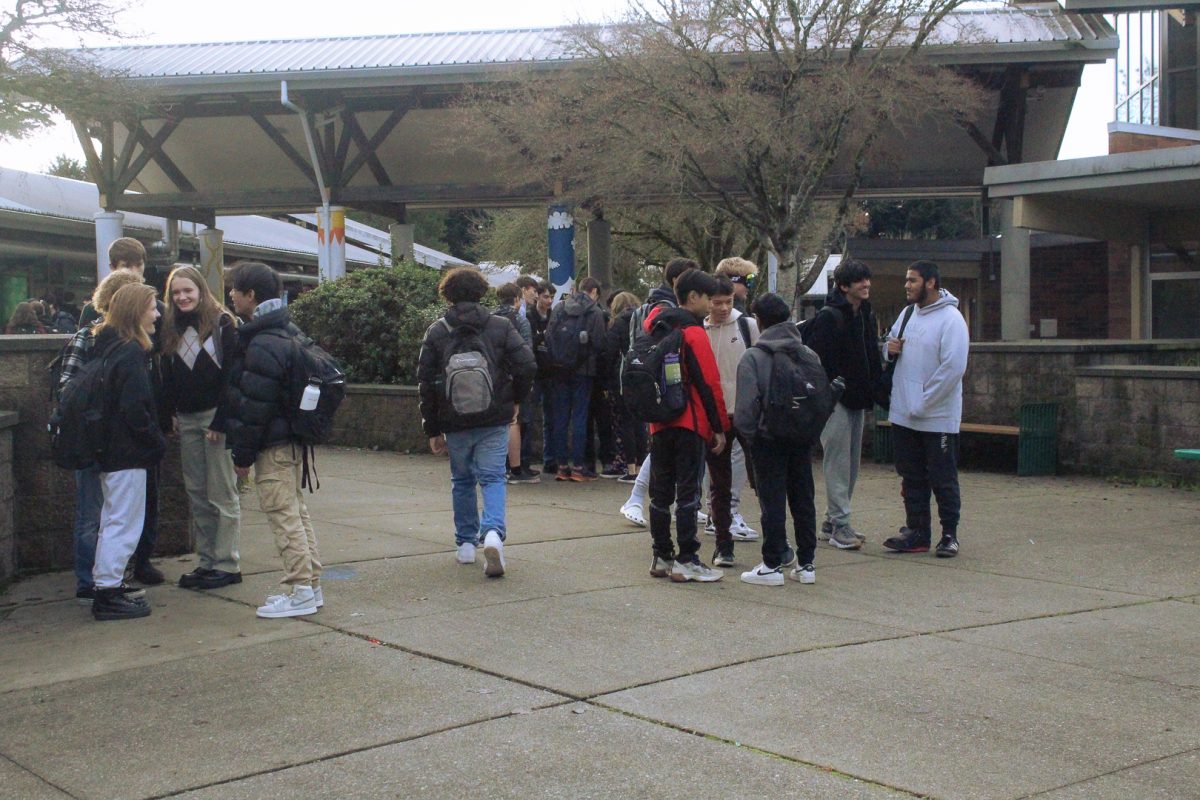 Students gather in groups in the courtyard during break. 