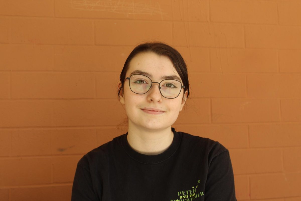 I believe that even though it is true that
it sounds like an income tax, I think that
it is helping out early development in
children, so it’s useful for school systems, sophomore Amy Staneff (any pronouns) said.