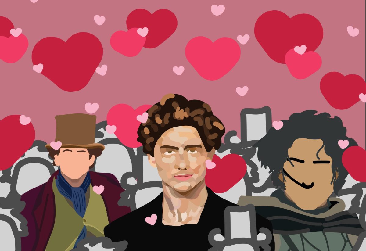 Sweetness, Spice and Chalamet Paradise: A Cheeky Fanfic