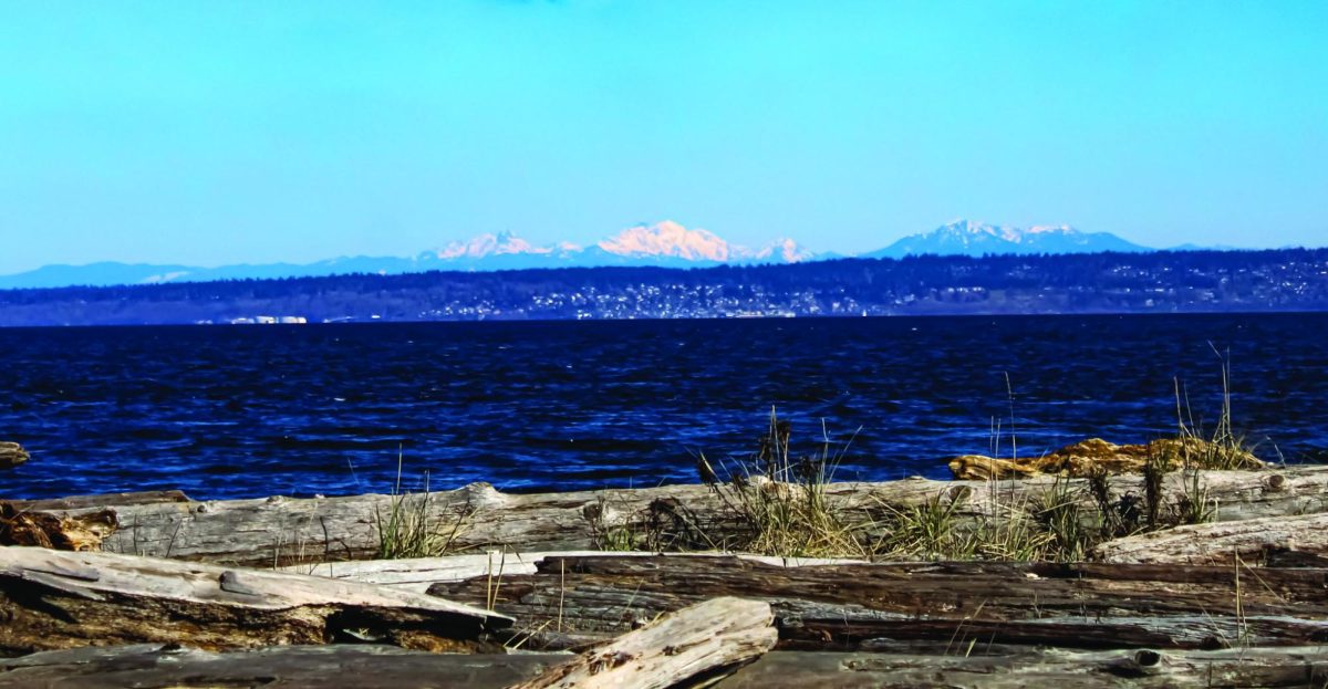 Fay Bainbridge Park offers a scenic view of the Cascade Mountains from the shore of its secluded, driftwood filled beach.